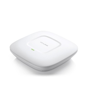 300Mbps Wireless N Ceiling/Wall Mount Access Point (Carton 16)